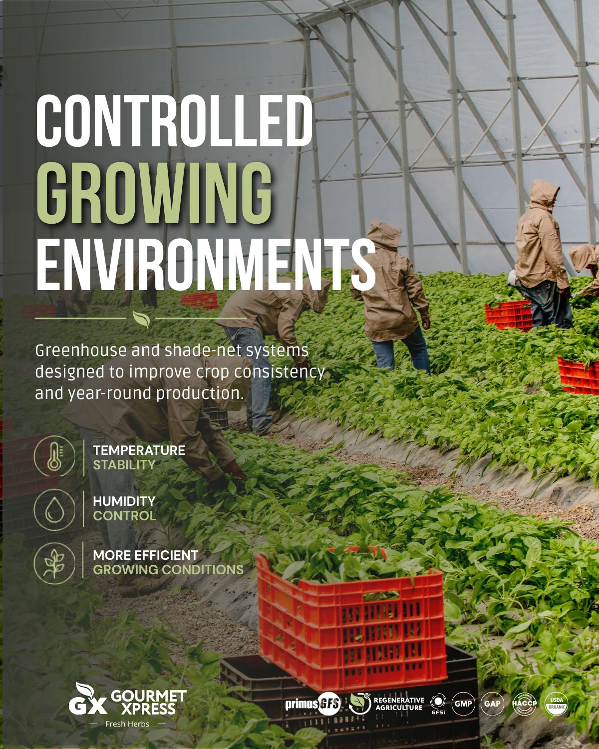 Controlled greenhouse and shade-net growing environments