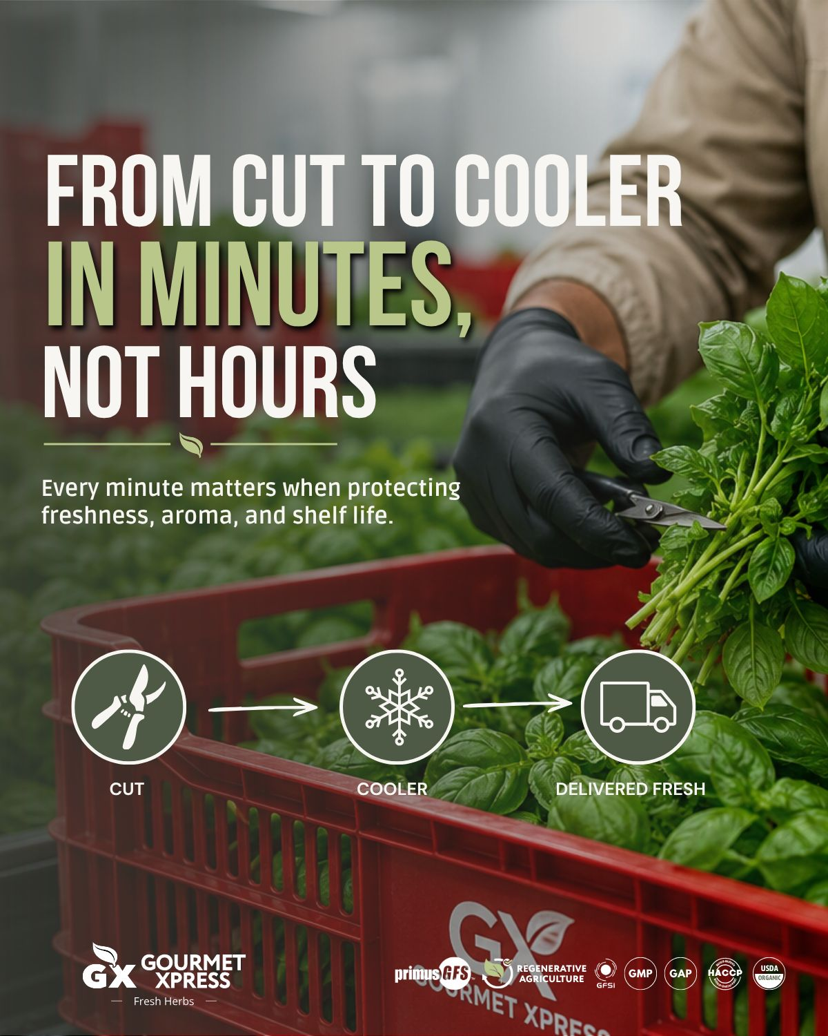From cut to cooler in minutes