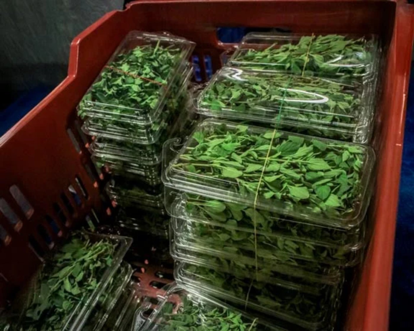 Conventionally grown fresh herbs with food safety traceability