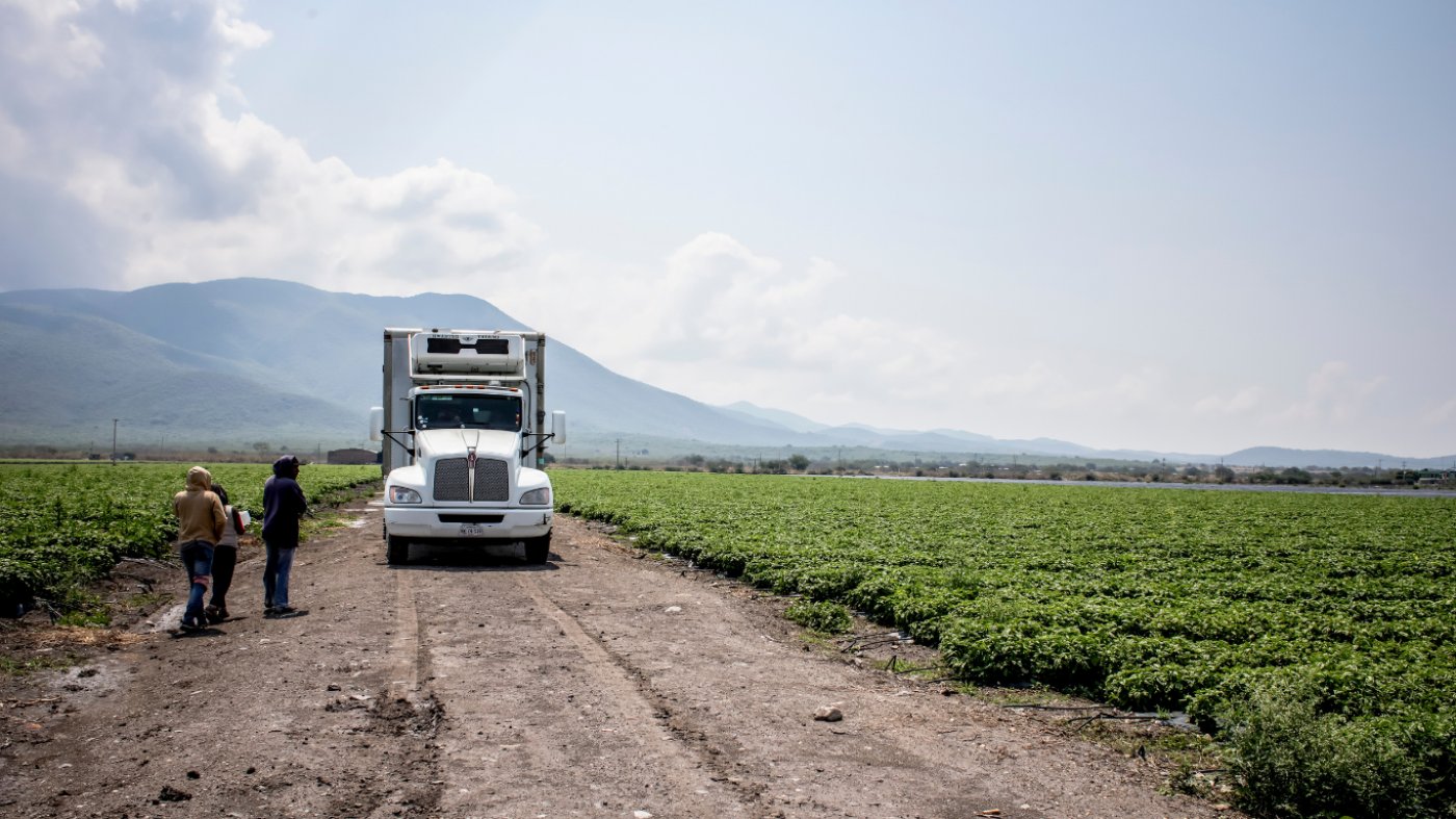 Refrigerated logistics and cold-chain trucking for fresh herb distribution