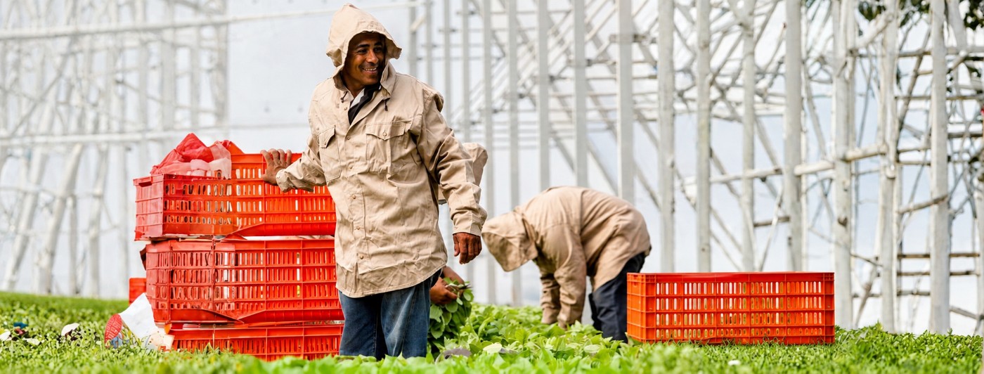Sustainable and regenerative fresh herb farming practices